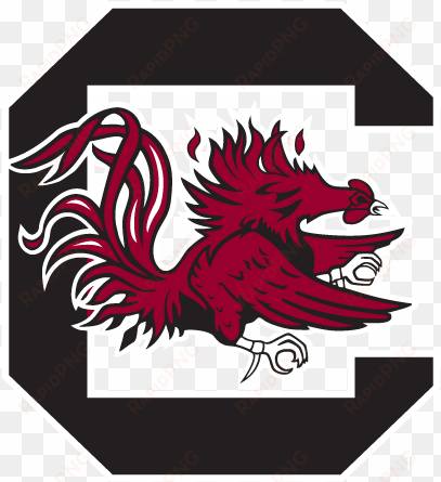 south carolina gamecocks