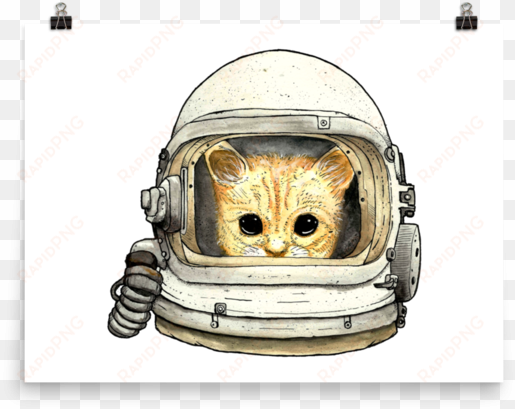 space kitteh no - cat