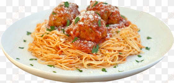 spaghetti and meatballs - ojolife innovations razor sharp stainless steel blades