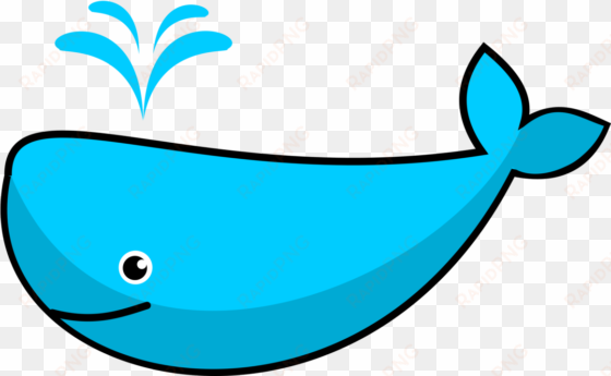 sperm whale killer whale cetacea blue whale walliams - whale clipart png