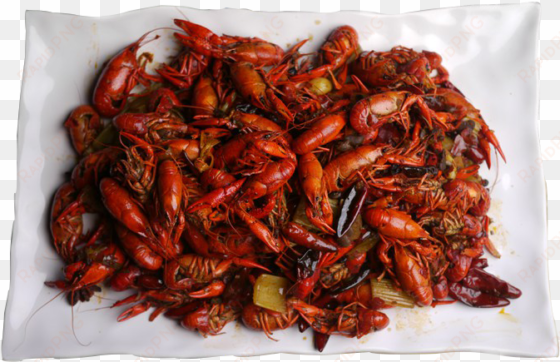 spicy cajun boiled crawfish - mala longxia