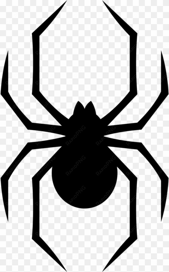 spider - black widow clip art