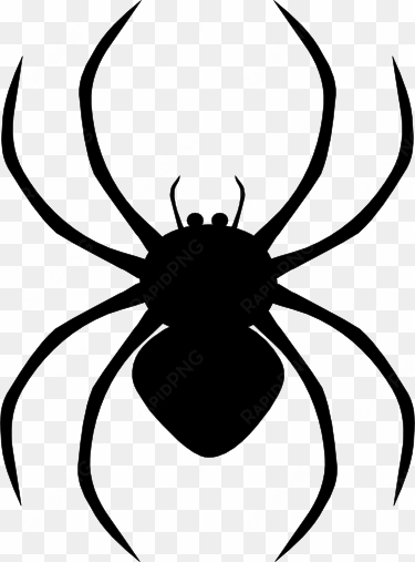 spider png hd - spider clipart png