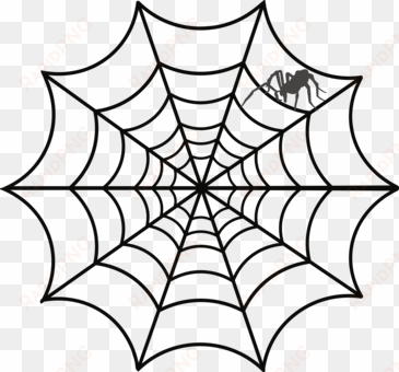 spider web drawing web design australian funnel-web - tela de araña dibujo