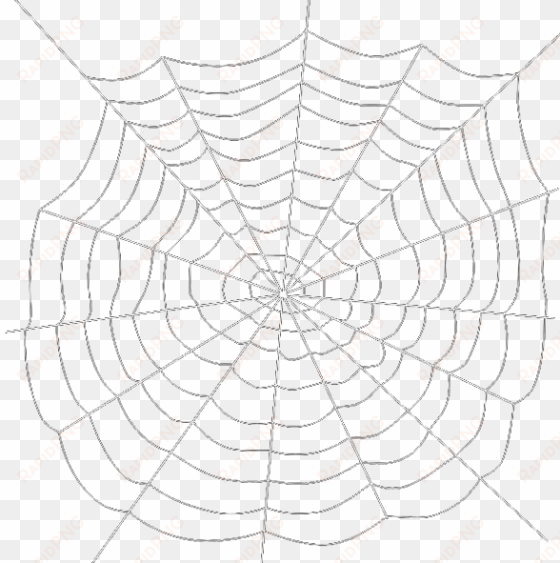 Spider Web Png Transparent Background - Spider Web Transparent Background transparent png image