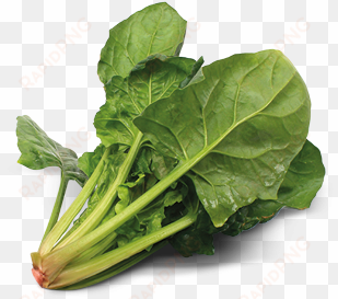 spinach transparent background