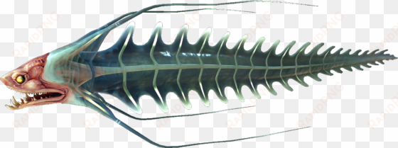spine eel fauna - subnautica spine eel