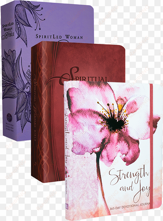spiritual warfare and strength bible bundle-$100 or - strength and joy: a 365-day devotional journal [book]