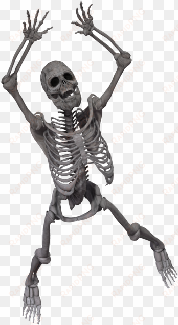 spooky skeleton png - esqueleto axial en 3d