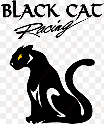 sports - black cats racing team