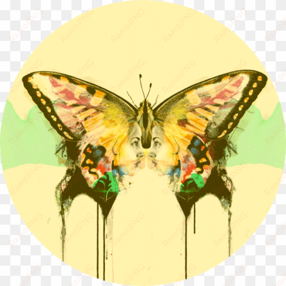 spring equinox - beautiful yellow swallow tail butterfly, for the love