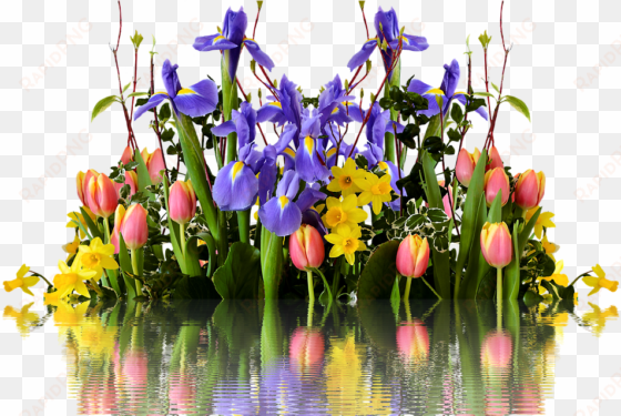 spring flower transparent png - tulipán nárcisz ibolya virágcsokor