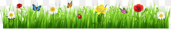 spring grass with flowers spring flowers clip art free - grass with flower png