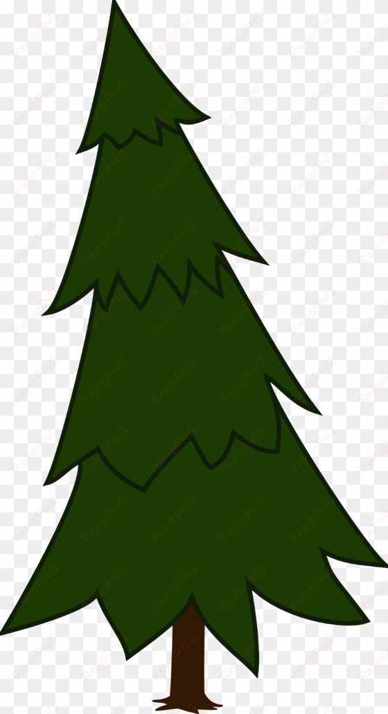 spruce, fir tree, evergreen, conifer, tree, forest - spruce tree clip art