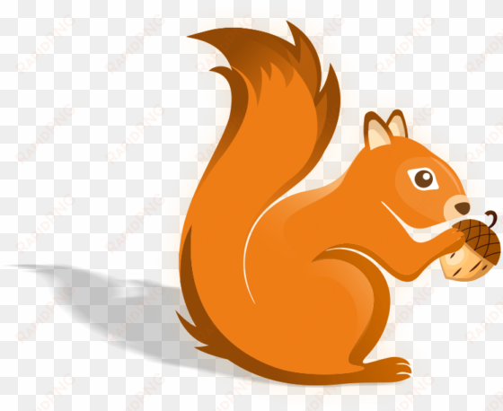 squirrel - fox squirrel