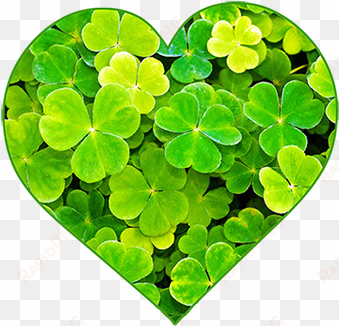 st patrick's day clipart - st patrick's day clipart png