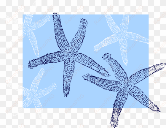 star fish background svg clip arts 600 x 462 px