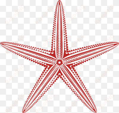 starfish clipart - hawaii royal hawaiian hotel