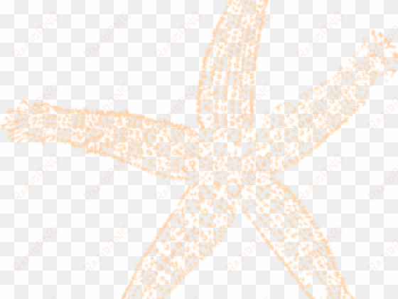 starfish clipart peach - starfish