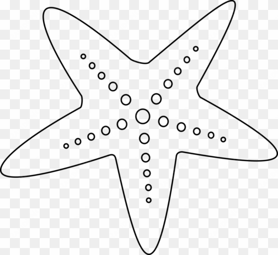 Starfish Color A Sea Star Echinoderm - Star Fish Clipart Black And White transparent png image