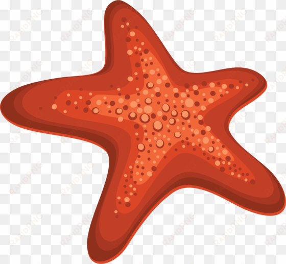 starfish png - Морская Звезда Пнг