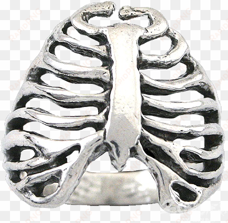 sterling silver rib cage ring - raven blackwood zombie rib cage ring in 14k white gold