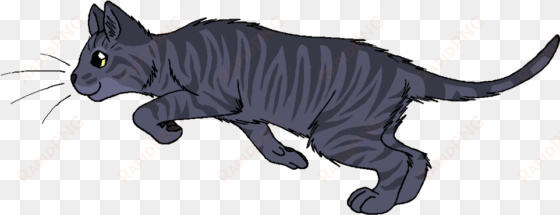 stormcloud - warrior cats sorrelstripe