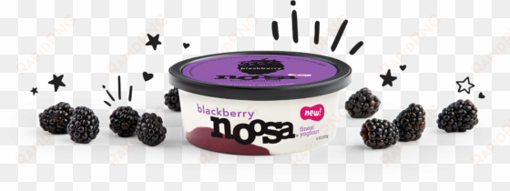 straight from the patch - noosa yoghurt