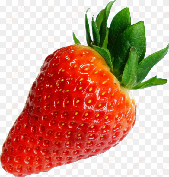 Strawberries Clip Free Library Huge Freebie Download - Strawberry Cut Out transparent png image