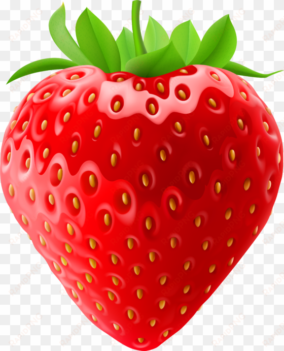 strawberry fruit clipart - transparent background strawberry clipart