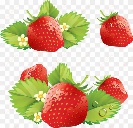 strawberry seven - strawberry png