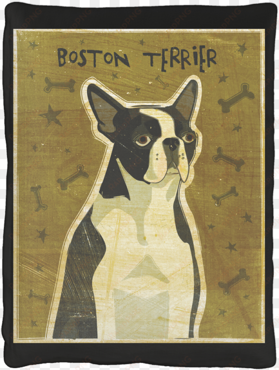 stretched canvas print: golden's boston terrier, 20x20in.