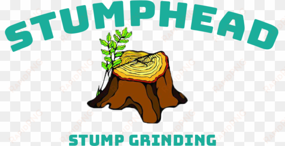 stump grinding & removal - tree stump