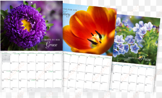 stunningly beautiful month calendar png holidays png - art floral 2018 - kalender