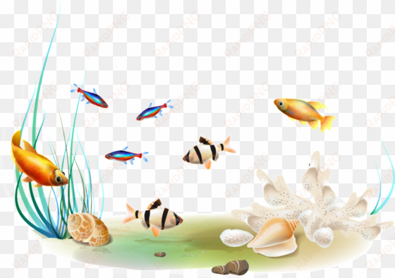 submarine fish transparent - fish swimming png