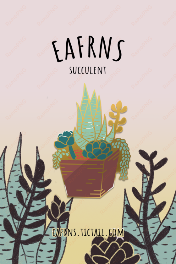 succulent plant