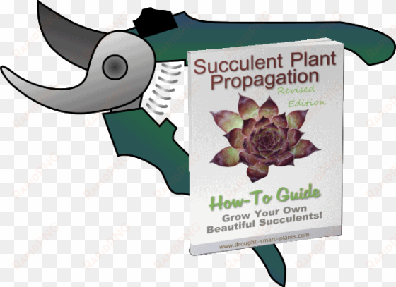 succulent plant propagation how-to guide, revised edition - pruning shears clipart