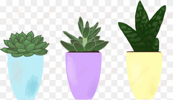 succulent stickers - succulent plant