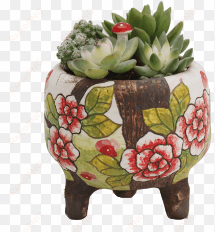 succulents in handmade pots nps41 - fruit cup