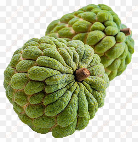 sugar apple png image transparent - custard apple fruit png