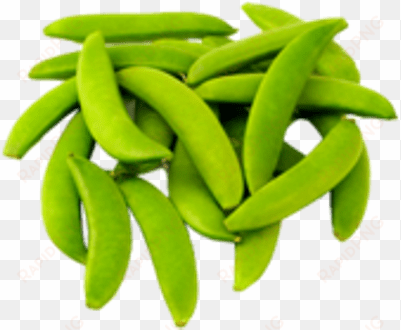 sugar snap peas - green pea