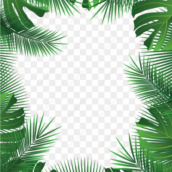 summer beach tropical leaves frame, summer leaves, - tropical frame png