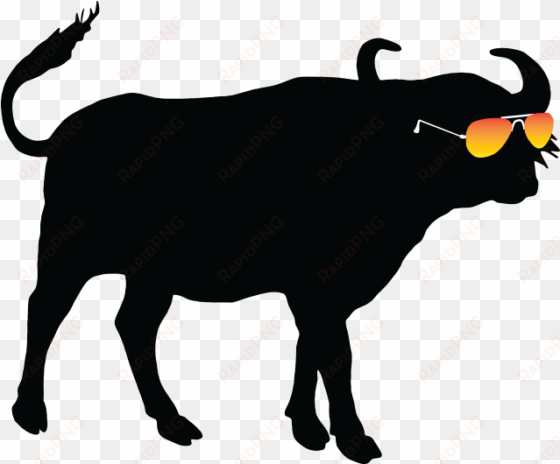 summer buffalo summer buffalo - buffalo silhouette