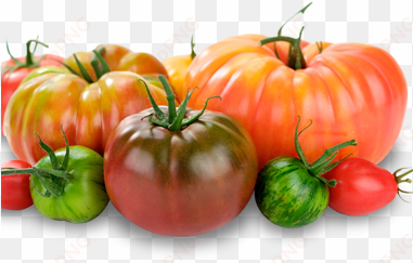 summer seasonal ingredients what's good now at seasons - heirloom tomato