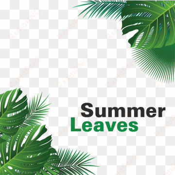 summer tropical leaves hanging, summer leaves, tropical, - portable network graphics