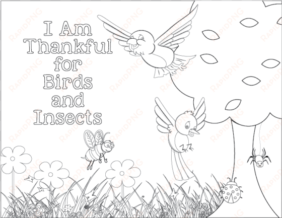 sunbeams chapter - am thankful for birds and insects coloring page