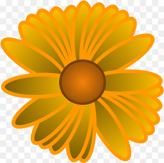 sunflower - black-eyed susan