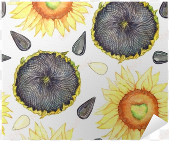 sunflower blooming, ripe head and seeds, seamless pattern - seed