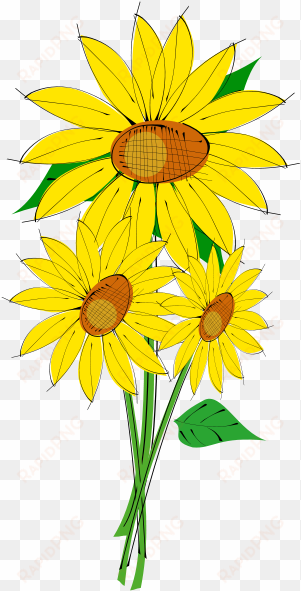 sunflower border design - clip art sunflowers