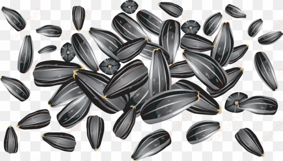 Sunflower Clipart Sunflower Seed - Sunflower Seeds Vector Free transparent png image